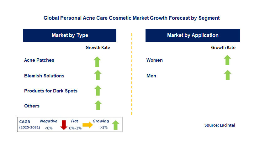 Personal Acne Care Cosmetic Market by Segment